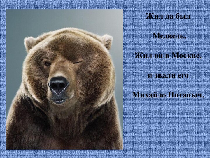 Жил да был Медведь.Жил он в Москве, и звали егоМихайло Потапыч.