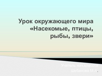 урок окружающего мира Насекомые, птицы, рыбы, звери план-конспект урока по окружающему миру (1 класс)