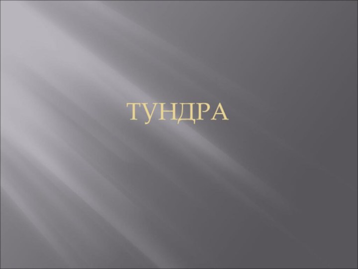 ТУНДРА