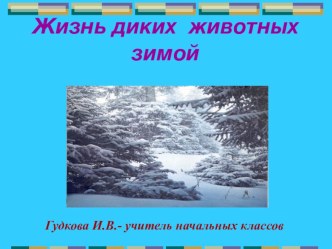 Жизнь диких животных зимой - презентация к уроку окружающего мира презентация к уроку по окружающему миру (2 класс)