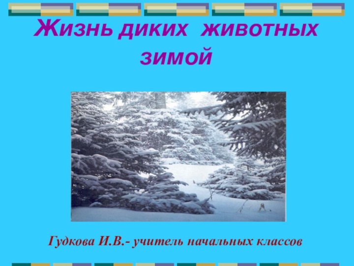 Жизнь диких животных зимойГудкова И.В.- учитель начальных классов