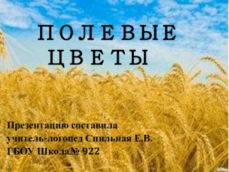 презентация к НООД по формированию лексико-грамматических категорий и развитию связной речи в средней группе ДО по теме: Ознакомление с понятием Поле. Полевые цветы презентация к уроку по логопедии (средняя группа) по теме