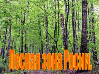 Презентация Лесная зона Росии презентация к уроку по окружающему миру по теме