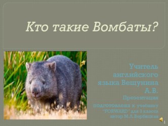 Кто такие Вомбаты? презентация к уроку по иностранному языку (3 класс)