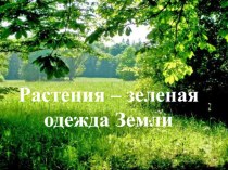 Разнообразие растений. Окружающий мир 3 класс презентация к уроку по окружающему миру (3 класс) по теме