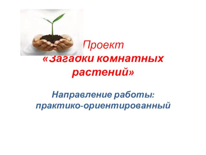 Проект «Загадки комнатных растений» Направление работы: практико-ориентированный