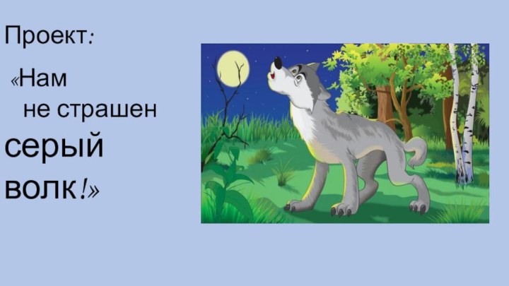 Проект: «Нам 	не страшен 	серый 	   		волк!»