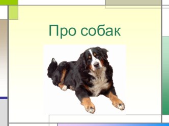 Про собак презентация к уроку по окружающему миру (старшая группа)