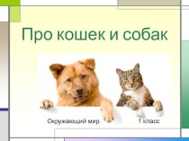 Презентация  Кошки и собаки. презентация к уроку по окружающему миру (1 класс) по теме