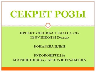 Проект Секрет розы проект по окружающему миру по теме