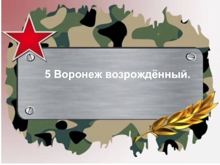 5 Воронеж возрождённый.