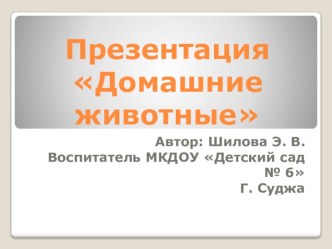 Презентация Домашние животные презентация к уроку по развитию речи ( группа)