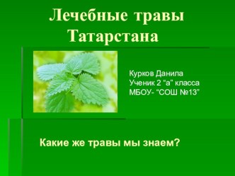 Курков Данила . Лечебные травы Татарстана. презентация урока для интерактивной доски (2 класс) по теме