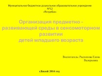 Организация предметно-развивающей среды в сенсомоторном развитии детей младшего возраста. презентация к занятию (младшая группа)