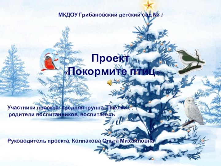 МКДОУ Грибановский детский сад № 1 Проект «Покормите птиц»Участники проекта: средняя группа