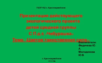 Экологический проект детей средней группы проект по окружающему миру (средняя группа)