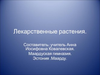 Лекарственные растения. презентация к уроку (окружающий мир, 3 класс) по теме