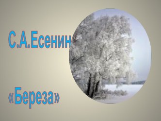 Презентация к уроку чтения. С.А.Есенин Береза презентация к уроку по чтению (2 класс) по теме