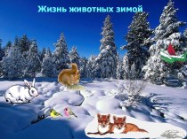 Презентация :Жизнь животных зимой презентация по окружающему миру