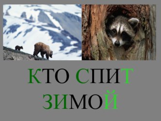 Кто как спит рабочая программа по окружающему миру по теме