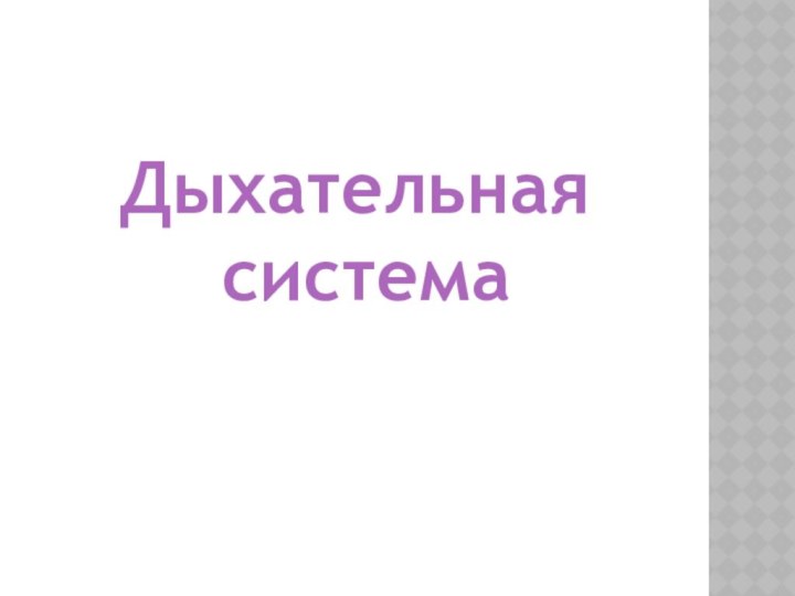 Дыхательная система