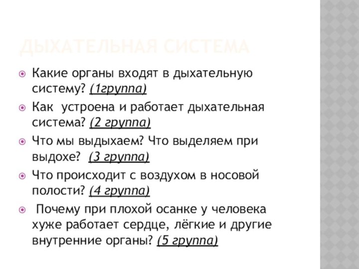 Дыхательная система Какие органы входят в дыхательную систему? (1группа)Как устроена и работает