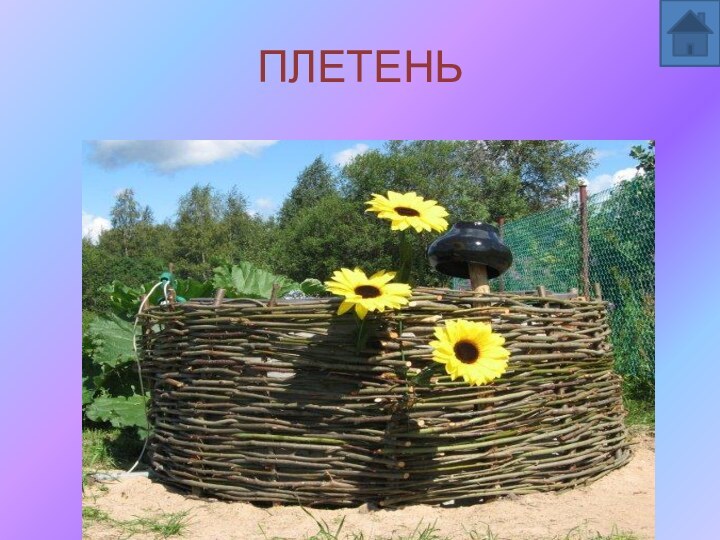 ПЛЕТЕНЬ