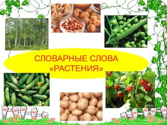 Словарные слова