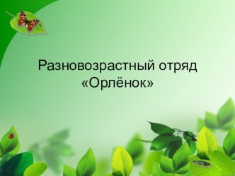 Разновозрастный отряд Орлёнок презентация к уроку (3 класс)