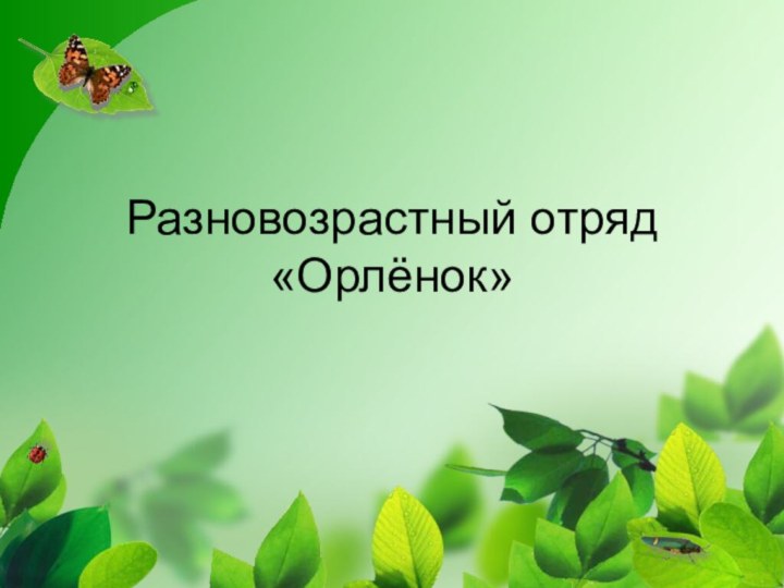 Разновозрастный отряд «Орлёнок»