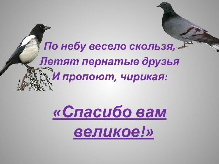 По небу весело скользя, Летят пернатые друзьяИ пропоют, чирикая:«Спасибо вам великое!»