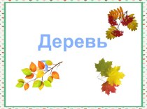 Презентация Деревья презентация к уроку по окружающему миру (средняя группа)