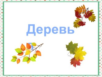 Презентация Деревья презентация к уроку по окружающему миру (средняя группа)