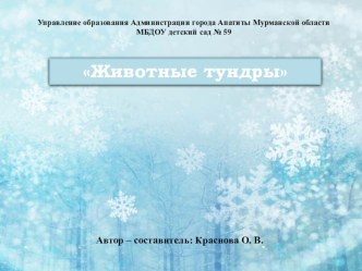 Конспект НОД по ОО Познавательное развитие Животные тундры план-конспект занятия (подготовительная группа) по теме