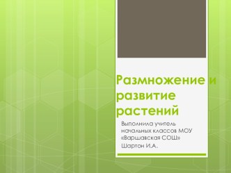 Тема: Размножение и развитие растений план-конспект урока по окружающему миру (3 класс)