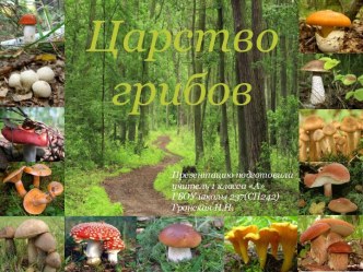 Грибы. Урок №3 Удивительные грибы презентация к уроку по окружающему миру (1 класс)