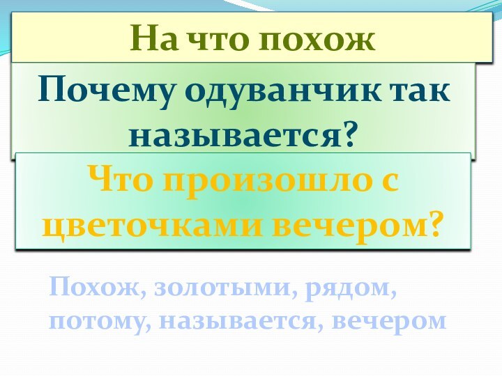 На что похож одуванчик?Почему одуванчик так называется?Что произошло с цветочками вечером?Похож, золотыми, рядом, потому, называется, вечером