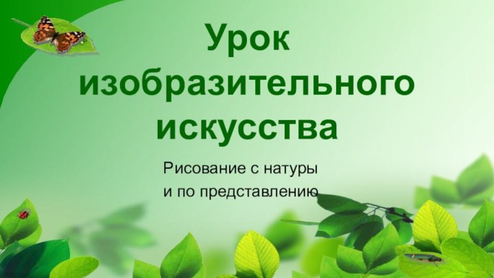 Урок изобразительного искусстваРисование с натуры и по представлению