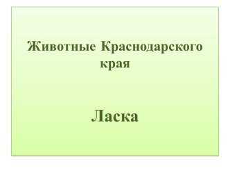 Животные Краснодарского края. Ласка. презентация к уроку по окружающему миру (1, 2, 3 класс)