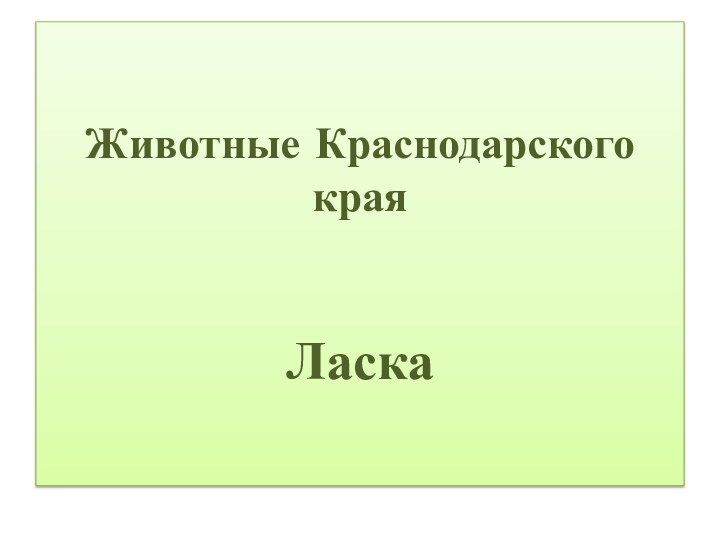 Животные Краснодарского края   Ласка