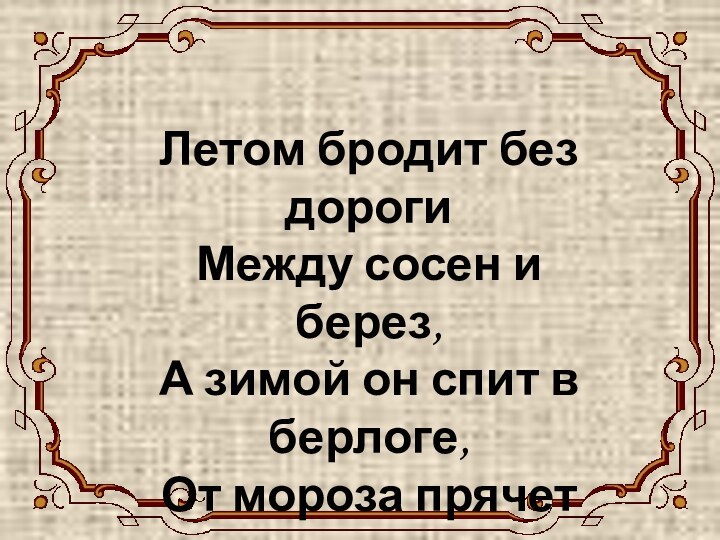 МЕДВЕЖОНОК Летом бродит без дороги Между сосен и берез, А зимой он