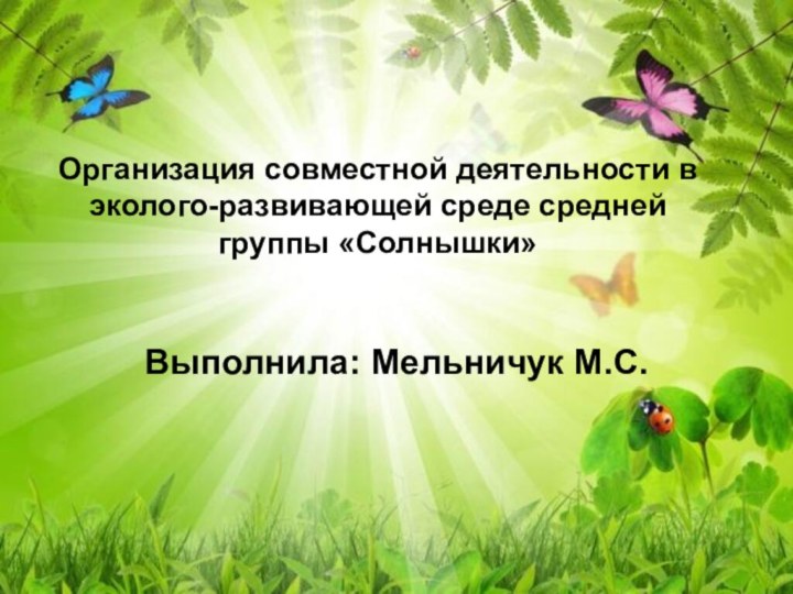 Организация совместной деятельности в эколого-развивающей среде средней группы «Солнышки»Выполнила: Мельничук М.С.