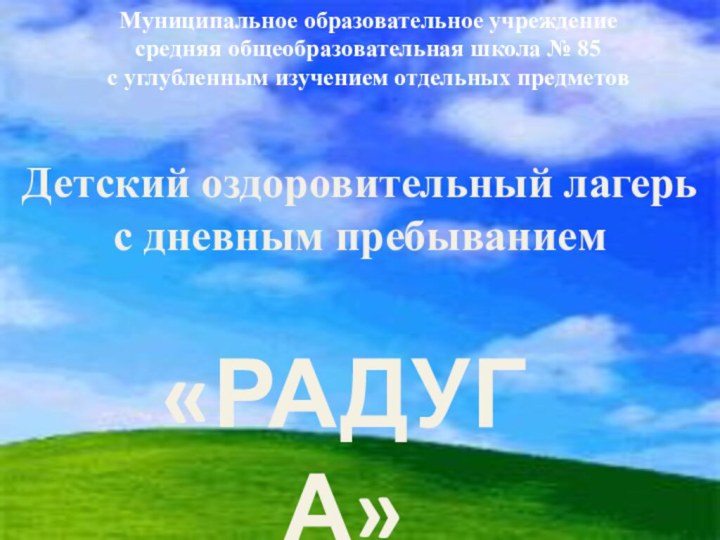 Муниципальное образовательное учреждение средняя общеобразовательная школа № 85  с углубленным изучением