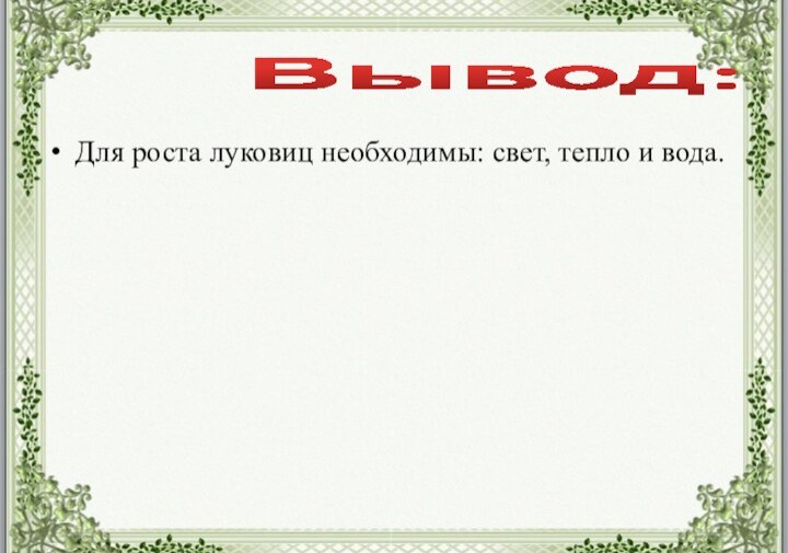 Для роста луковиц необходимы: свет, тепло и вода. Вывод: