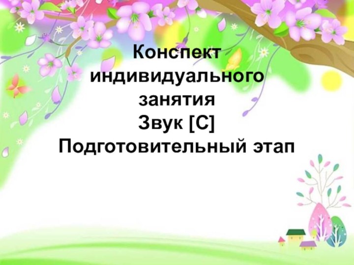 Конспект индивидуального занятия Звук [С] Подготовительный этап