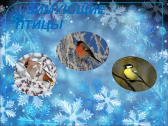 Викторина Что? Где? Когда? Тема: Зимующие птицы план-конспект занятия