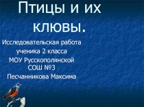 Птицы и их клювы презентация презентация к уроку по окружающему миру (2 класс) по теме