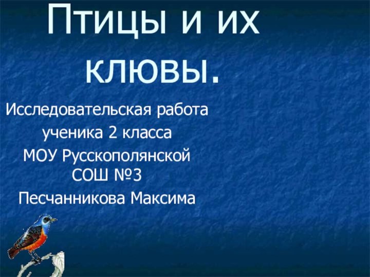 Птицы и их клювы.Исследовательская работаученика 2 классаМОУ Русскополянской СОШ №3Песчанникова Максима