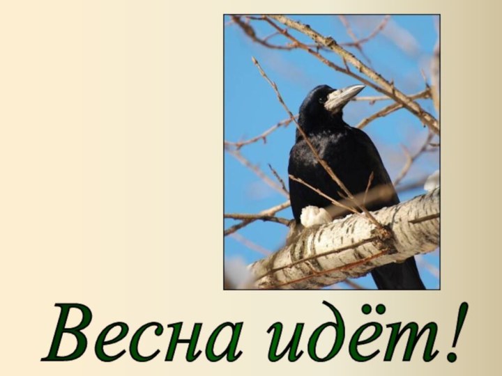 Весна идёт!