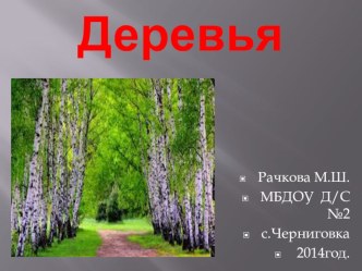 Деревья. презентация к занятию по окружающему миру (старшая группа) по теме